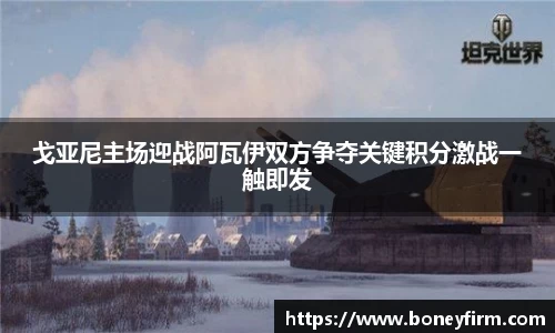 NG体育官网